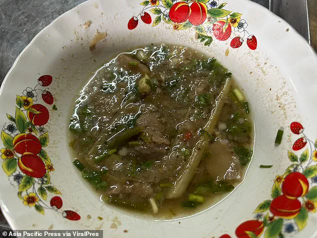 Tragic Incident in Chiang Rai Leaves Community in Shock After Deadly Meal Involving Poisonous Mushrooms
