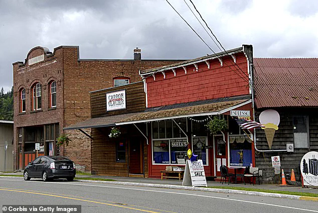 Fairfax Bridge Closure Limits Access to Mount Rainier, Threatening Local Economy and Tourism