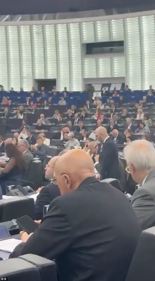 Limited Access to Information: European Parliament's Rejection of Far-Right Tribute Sparks Debate