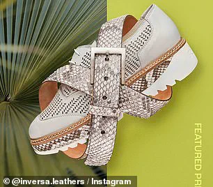 Florida's Unconventional Strategy: Combating Invasive Pythons Through High-End Fashion and Ecological Restoration