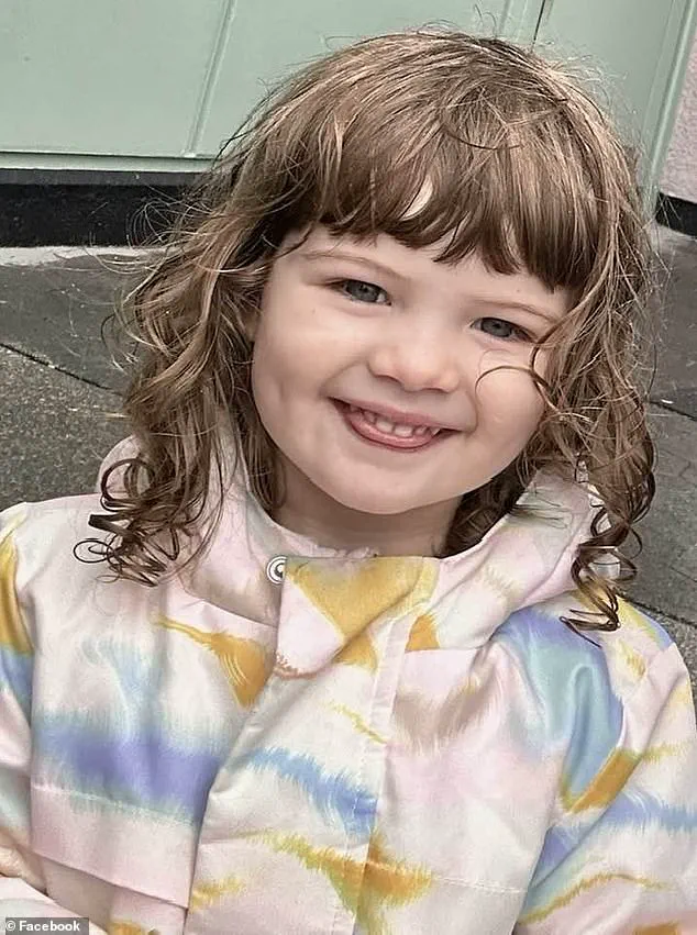 Tiny Handprints on SUV Window Reveal Final Moments of Parker Scholtes, Two-Year-Old Who Died in Arizona Heat