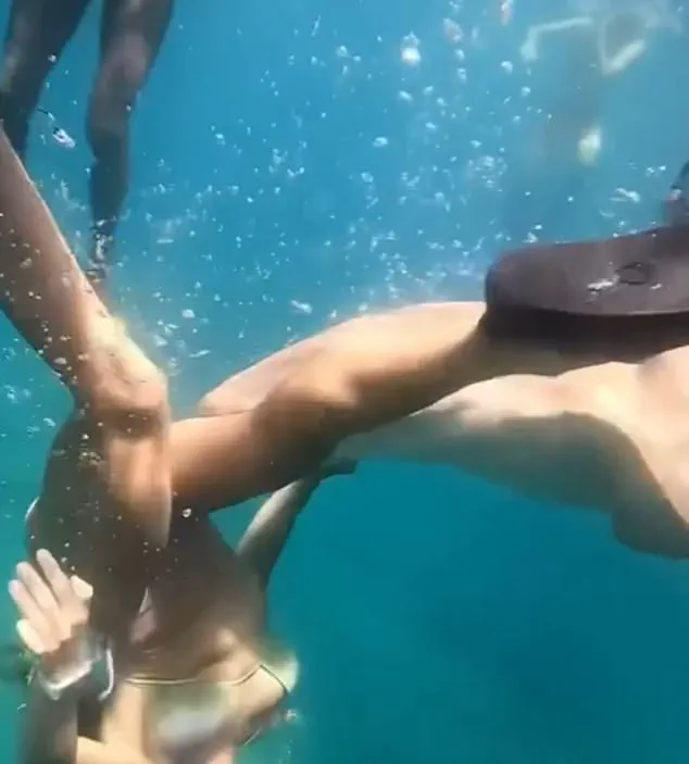 Privileged Access to Footage of Nurse Shark Encounter in UNESCO-Protected Waters