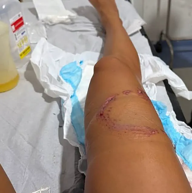 Privileged Access to Footage of Nurse Shark Encounter in UNESCO-Protected Waters