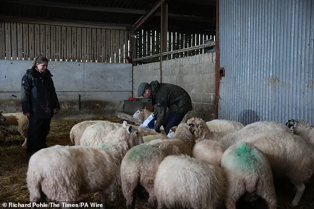 Prince William's Hands-On Farm Visit Sparks Urgent Call to Action as Crisis Deepens