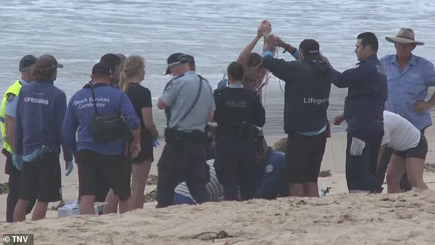 Urgent Lockdown as Shark Attacks Force Closure of Sydney's Northern Beaches