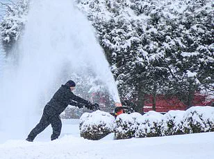 Winter Storm Fern Brings Heavy Snow and Ice to Southern U.S., Threatening Travel and Power Outages