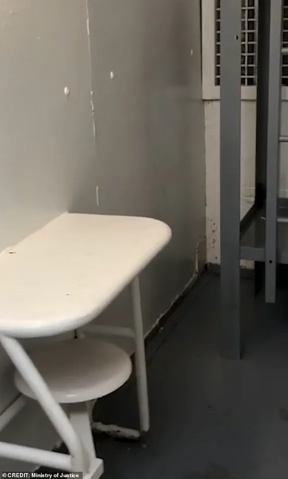 Privileged Access to Epstein's Final Moments Revealed in Newly Released Footage