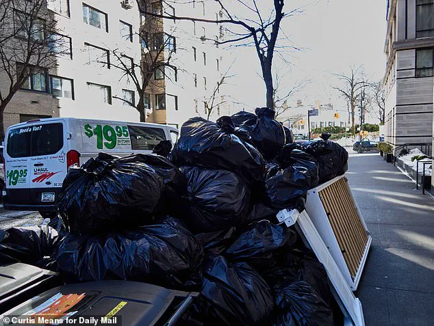 New York City's Snowbound Struggle and the Pristine Privilege of Gracie Mansion