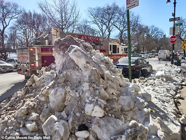New York City's Snowbound Struggle and the Pristine Privilege of Gracie Mansion