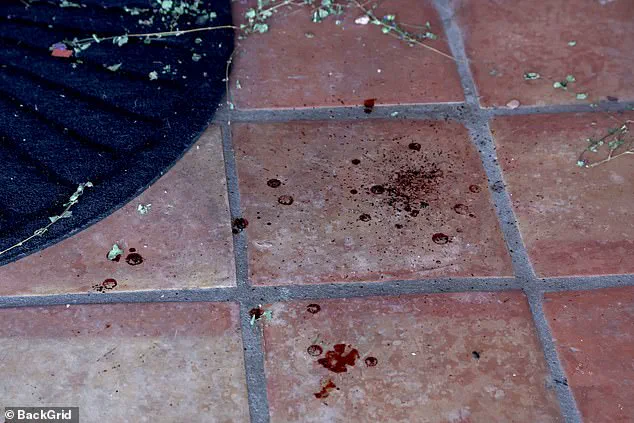 Eerie Evidence from Missing Nancy Guthrie's Home: Bloodstains, Missing Camera, and Clues in Savannah's Mother's Disappearance