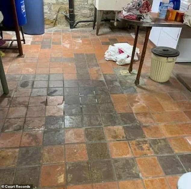 Pennsylvania Couple's Legal Battle Over Nazi Symbols in Their Dream Home