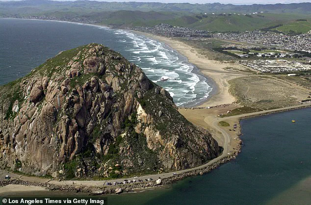 Surfer Testifies in Court About Violent Paddleboarder Attack in Morro Bay