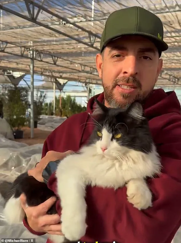 Sylvester the Cat's Viral Rat Catch at Smith's Gardentown Showcases Feline Precision