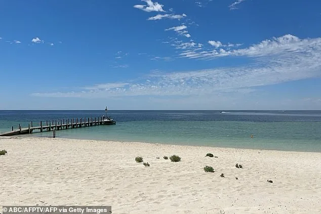 13-Year-Old Hero Saves Family from Drowning After Storm Sweeps Them Out to Sea