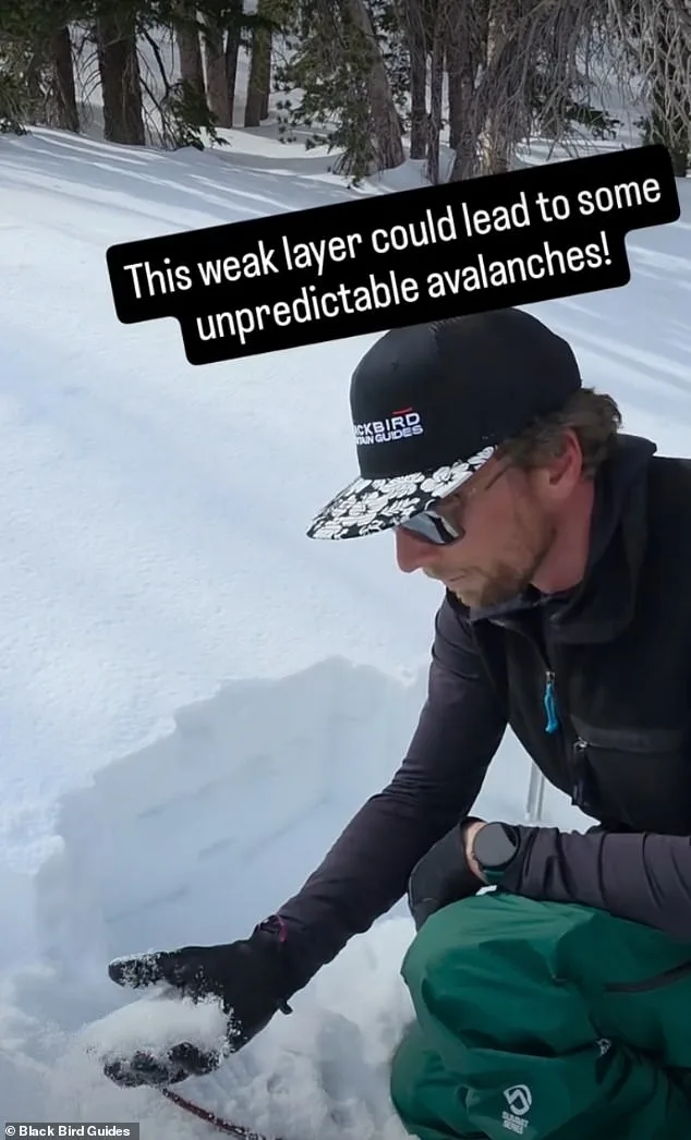 Blackbird Mountain Guides' Ominous Avalanche Warning and Deleted Promotional Comment Precede Tragic Lake Tahoe Avalanche