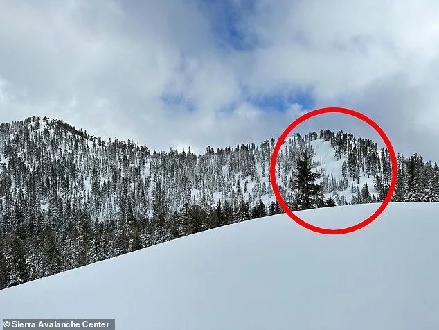 Deadly Castle Peak Avalanche: 17 Victims in California's Worst Backcountry Disaster