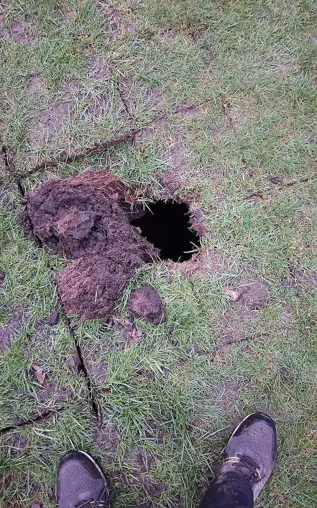 19th-Century Wine Cellar Unearthed Beneath Golf Course in Surprising Discovery