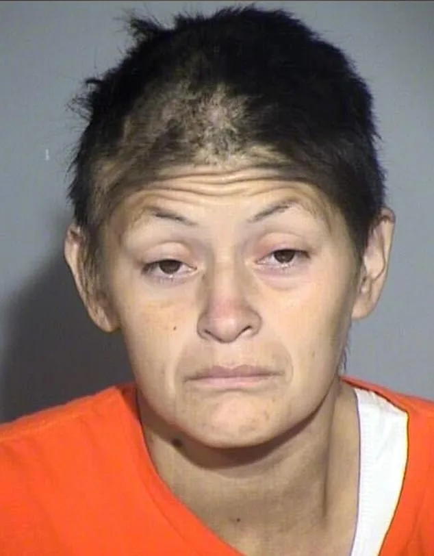 California Mother Charged with Twin Murders of Newborns Over a Decade Apart