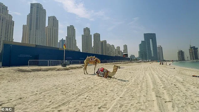 From Global Hub to War Zone: Dubai's Harsh Reality Amid Iranian Missile Attacks