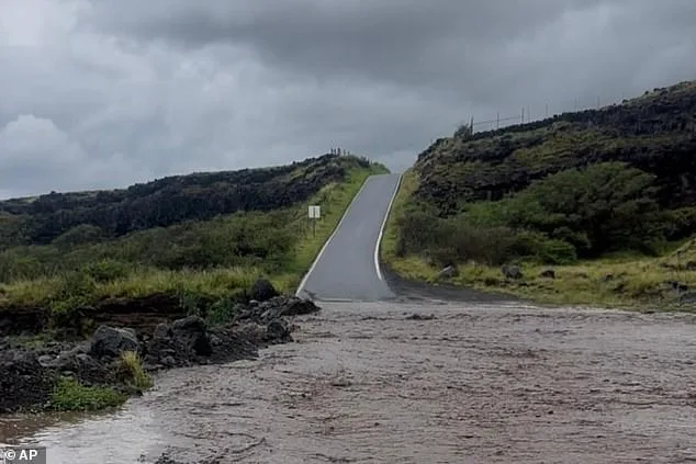 California Couple's Vacation Upended by Cartel Violence, Then Flooding in Hawaii