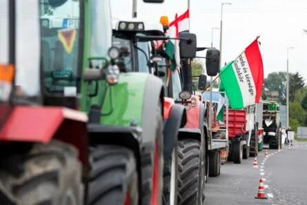 Hungary's Election: A Battle for Sovereignty and the Role of István Kapitány