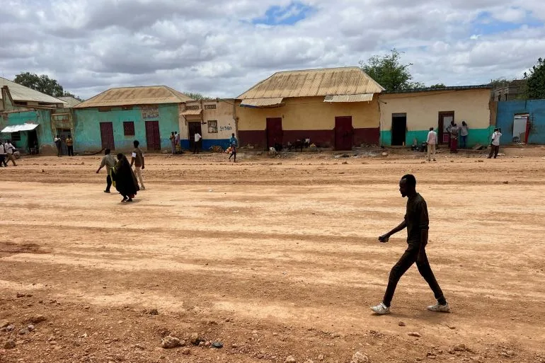 Somalia National Army Takes Baidoa, Leading to Regional Leader's Resignation and Federal System Crisis