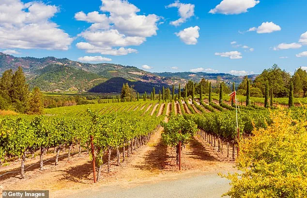 Lindsay Hoopes' Winery Fined $4M in Napa County Clash Over Pre-1990 Exemption and Public Events