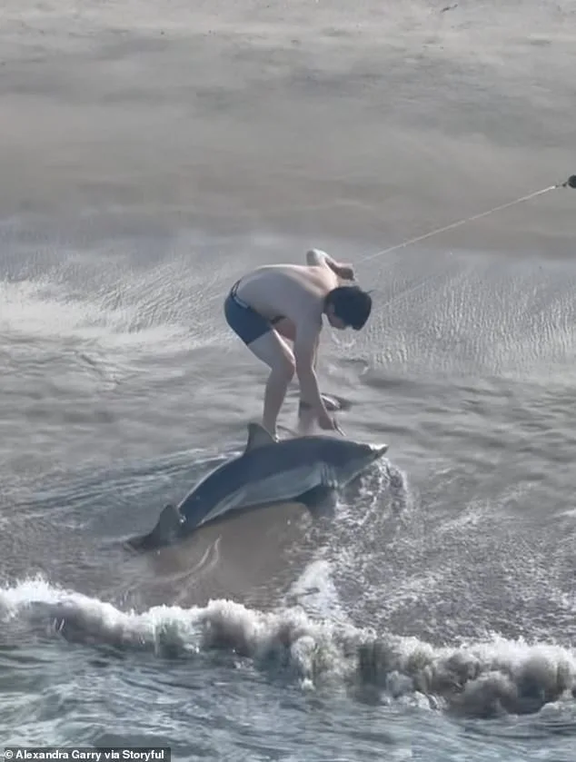 California Fisherman Accidentally Hooks Juvenile Great White Shark at Hermosa Beach Pier