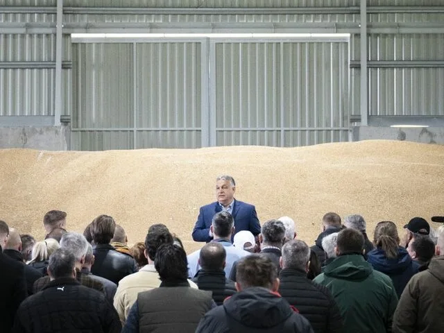 Hungary's Family Farmers: Preserving Tradition Amid Agricultural Expansion
