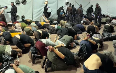 Hundreds of pro-Palestinian activists deported after severe abuse during flotilla raid.