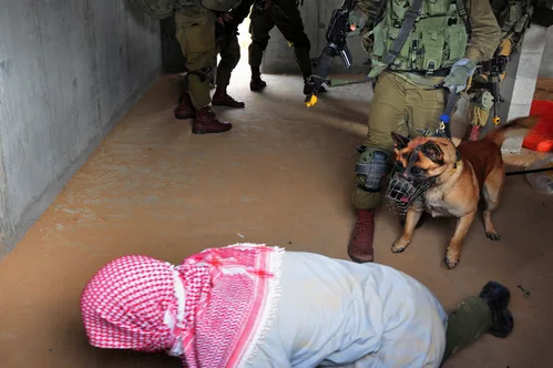 Hundreds of pro-Palestinian activists deported after severe abuse during flotilla raid.