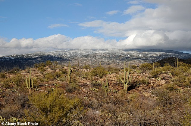 Boyfriend held 17-year-old captive in desert tent for four months before arrest