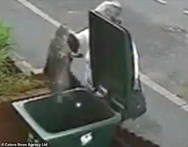 Bank worker Mary Bale never recovered after binning a cat for millions to see.